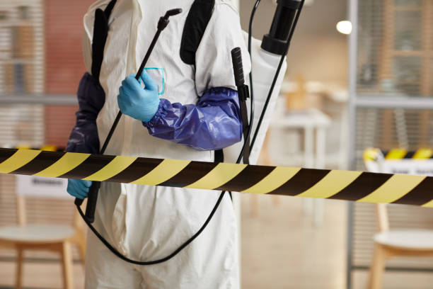 Professional Sewage Cleanup technician working in Kent City, MI